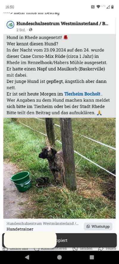 Was hat euch heute genervt?-Beitrag-Bild