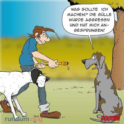 Hunde Memes-Beitrag-Bild