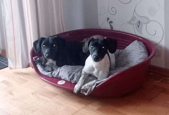 Was hat euch heute genervt?-Beitrag-Bild