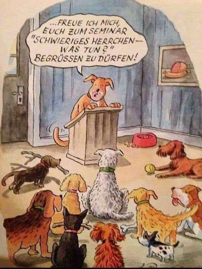 Hunde Memes-Beitrag-Bild