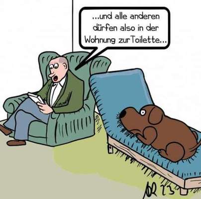 Hunde Memes-Beitrag-Bild