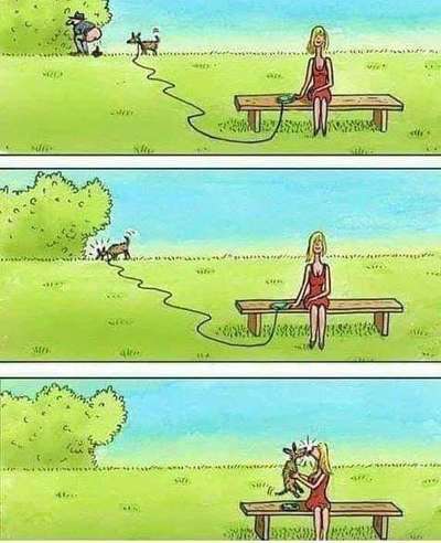 Hunde Memes-Beitrag-Bild