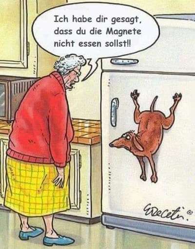 Hunde Memes-Beitrag-Bild