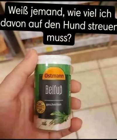 Hunde Memes-Beitrag-Bild