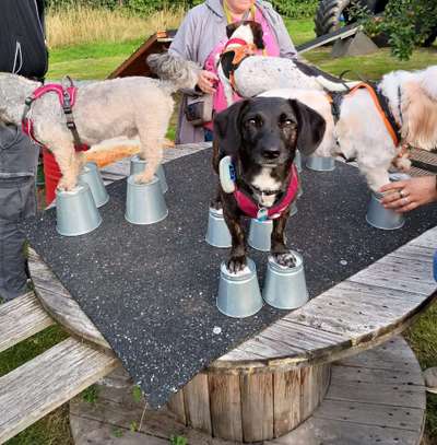 Freddys Kummerkasten-Beitrag-Bild