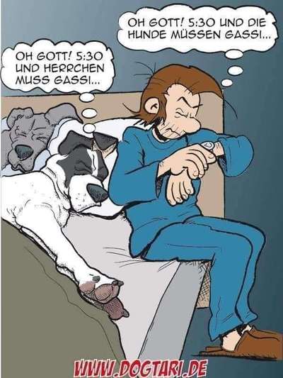 Hunde Memes-Beitrag-Bild