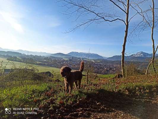 Farben Fotochallenge Sonnenlicht-Beitrag-Bild