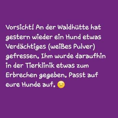 Giftköder-Giftköder !!!-Bild