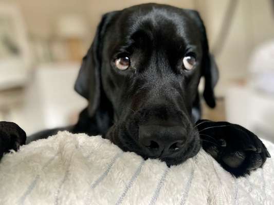 Zeigt eure Portraits-Beitrag-Bild