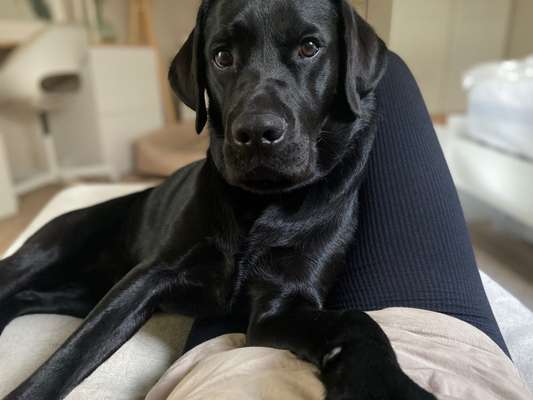 Doppelgänger gesucht !-Beitrag-Bild