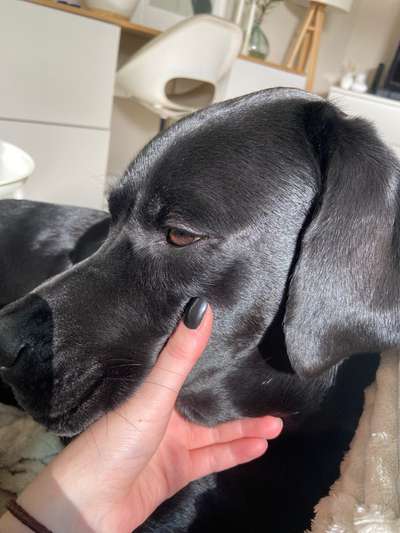 Außergewöhnliche Merkmale-Beitrag-Bild