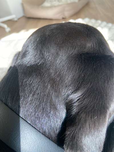 Außergewöhnliche Merkmale-Beitrag-Bild