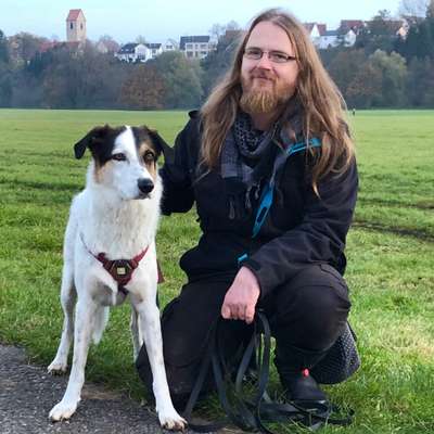 Hundetreffen-Gemeinsamer TrainingsSpaziergang