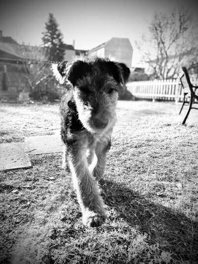 Foto-Challenge 76: Foto in Schwarz-Weiss-Beitrag-Bild