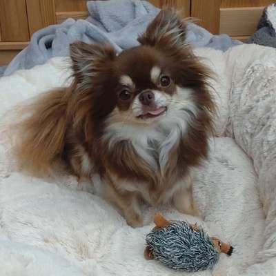 Melanie's Profilbild