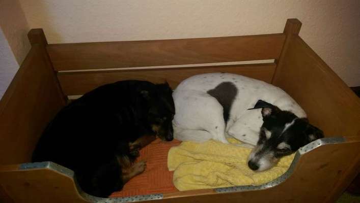 Im Bett schlafen-Beitrag-Bild