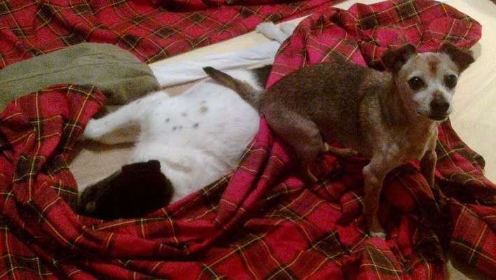 Im Bett schlafen-Beitrag-Bild