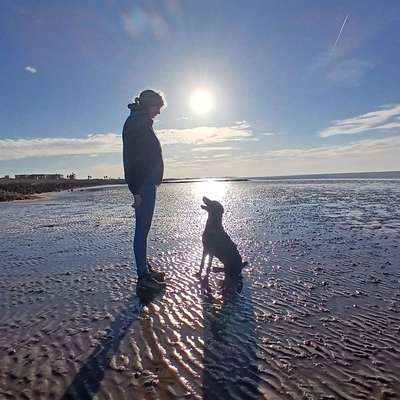 Hundetreffen-Spaziergang mit und hinterher ohne Leine-Profilbild