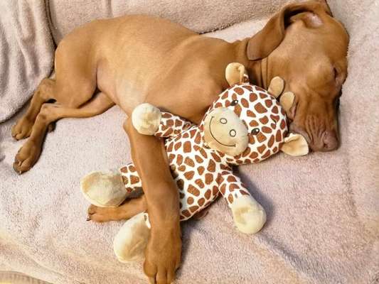 CHALLENGE NR. 34 - Liege-/Schlafpositionen-Beitrag-Bild