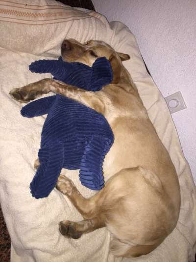 Fotochallenge liebespaare-Beitrag-Bild