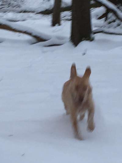 Un...scharf Bilder-Beitrag-Bild