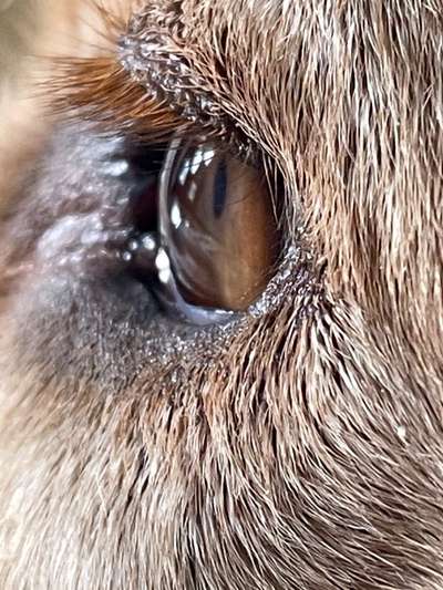 Blick fürs Detail!-Beitrag-Bild