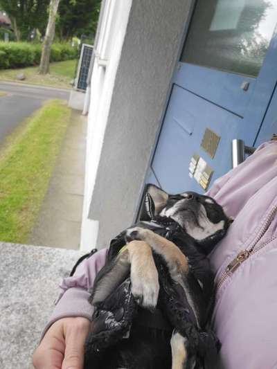 Fotochallange 84-Beitrag-Bild