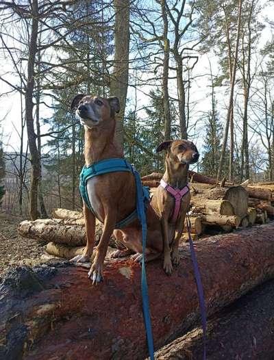 Foto Challenge Nr. 79-Beitrag-Bild