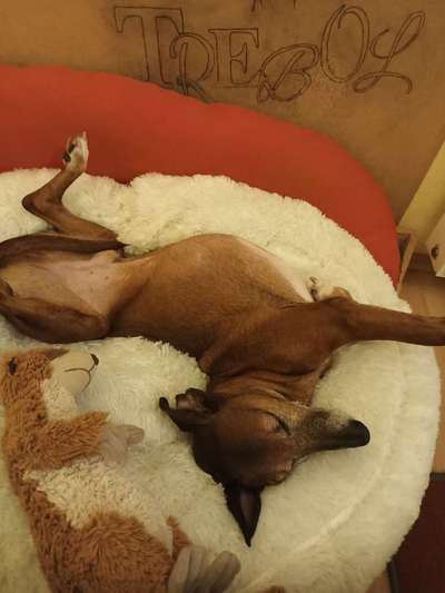 Erfahrung mit Wolkenbett-Beitrag-Bild