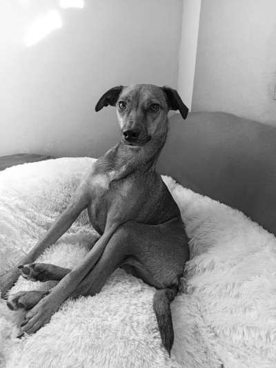 Foto-Challenge 76: Foto in Schwarz-Weiss-Beitrag-Bild