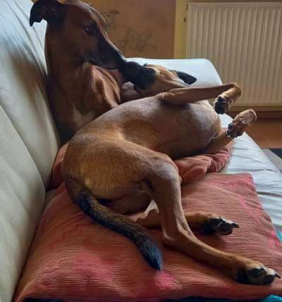 Challenge 30  Freundschaft-Beitrag-Bild