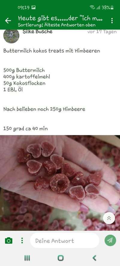 Heute gibt es.....der "ich mach die Leckerlis-Selber-Thread"-Beitrag-Bild