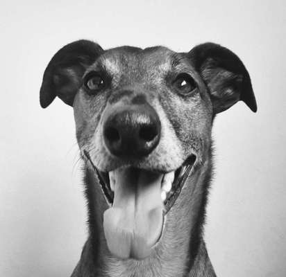 Foto-Challenge 76: Foto in Schwarz-Weiss-Beitrag-Bild