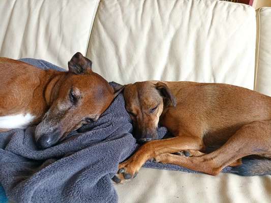 Lieblingsbild-Beitrag-Bild