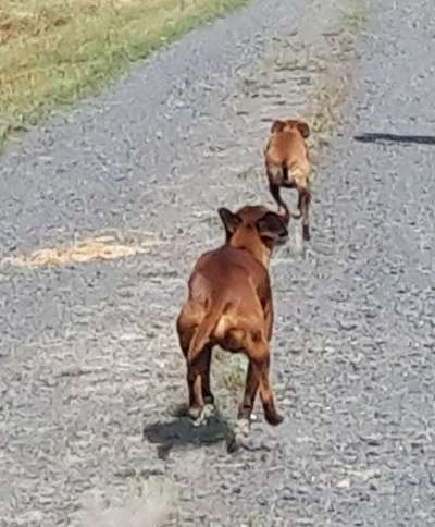 Lieblings Schnappschuss?-Beitrag-Bild