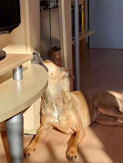 CHALLENGE NR. 34 - Liege-/Schlafpositionen-Beitrag-Bild