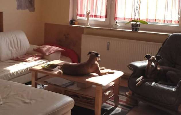 Foto Challange Nr.80-Beitrag-Bild