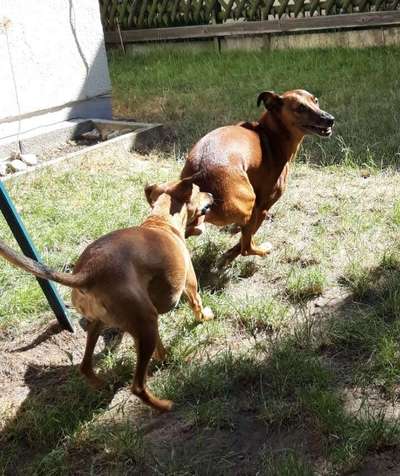 Fotochallenge No. 5-Beitrag-Bild