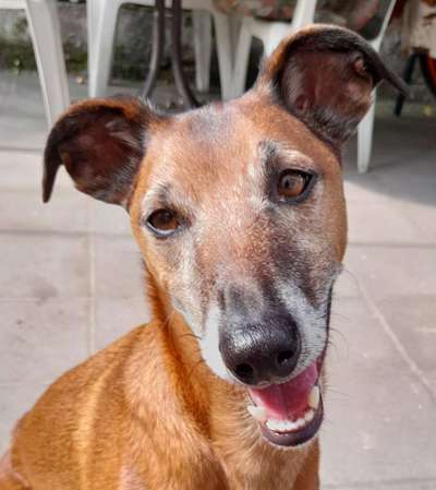 Fotochallange Nr. 57     PORTRÄT.   Beendet!!!!!!!!-Beitrag-Bild