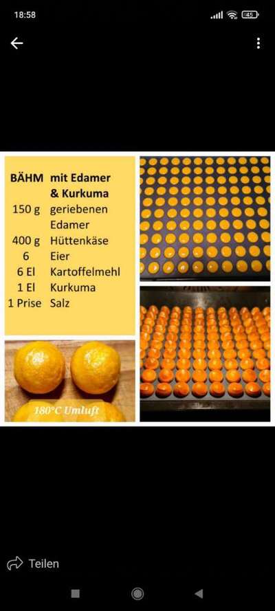 Heute gibt es.....der "ich mach die Leckerlis-Selber-Thread"-Beitrag-Bild