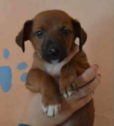 Foto Challenge 3-Beitrag-Bild