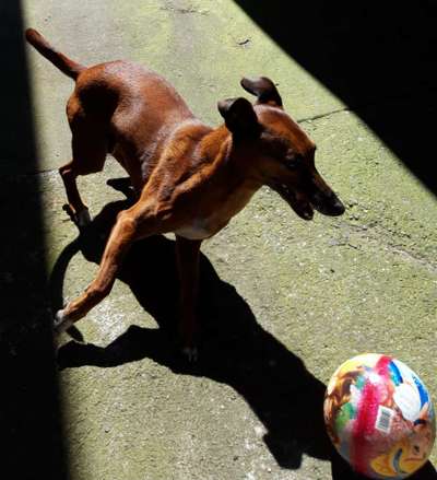 Fotochallange Nr. 46

Schattenspiele BEENDET!!!!!-Beitrag-Bild