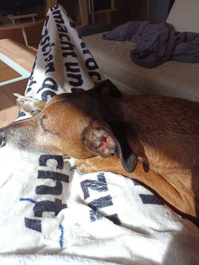 Foto Challange Nr.80-Beitrag-Bild