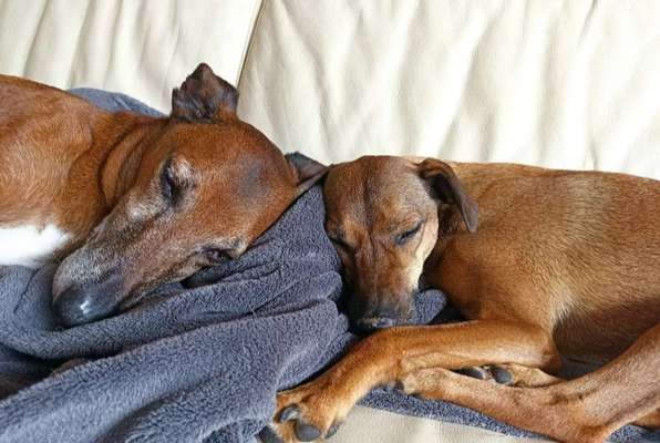 Fotochallenge Nr. 62 Romantische Momente-Beitrag-Bild