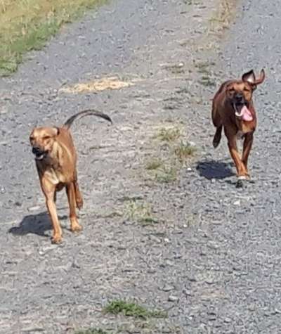 Lieblings Schnappschuss?-Beitrag-Bild