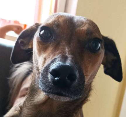 Fotochallange Nr. 57     PORTRÄT.   Beendet!!!!!!!!-Beitrag-Bild