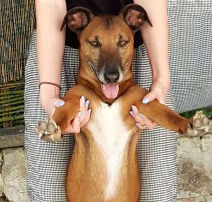 Challenge Nr. 10: "Das schönste Lächeln"-Beitrag-Bild