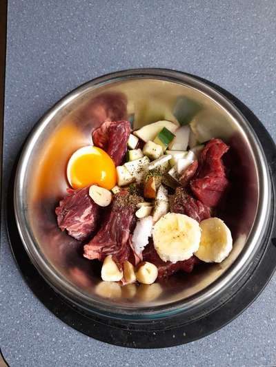 Fotochallenge 31 - Das perfekte Hundedinner-Beitrag-Bild