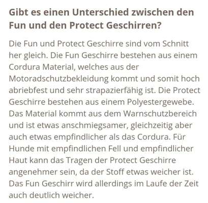 Podencomischling oder Podenco-Beitrag-Bild