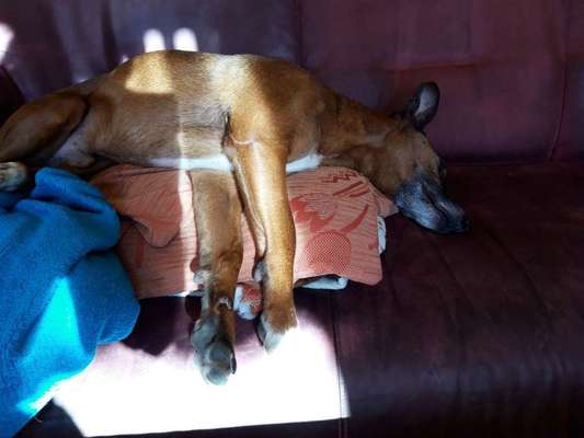 Die unbequemsten und lustigsten Schlafpositionen-Beitrag-Bild